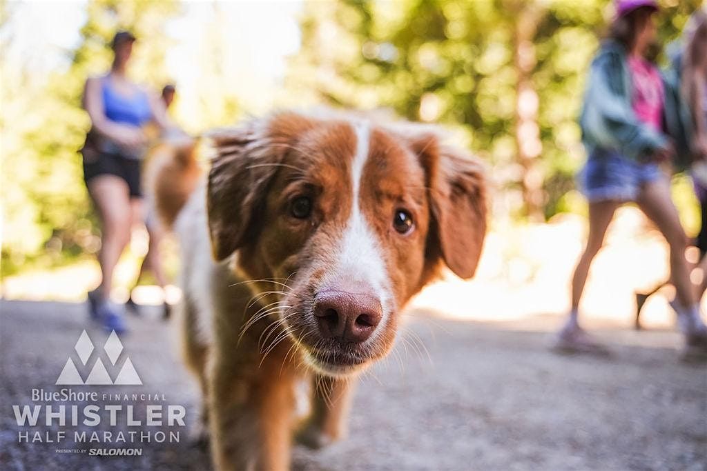 Dog Walk and Jog (by Whistler Half Marathon) 2026