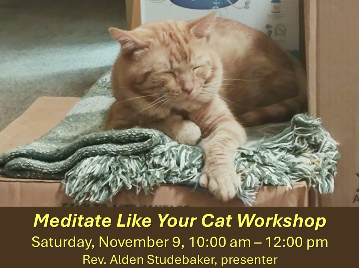 Meditate Like Your Cat Workshop