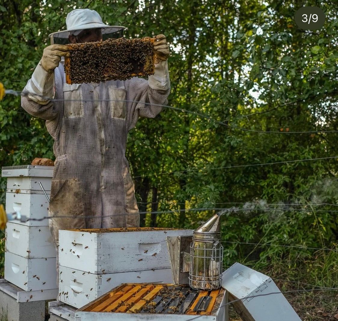 Aspiring Beekeeper Day and Equipment Sale