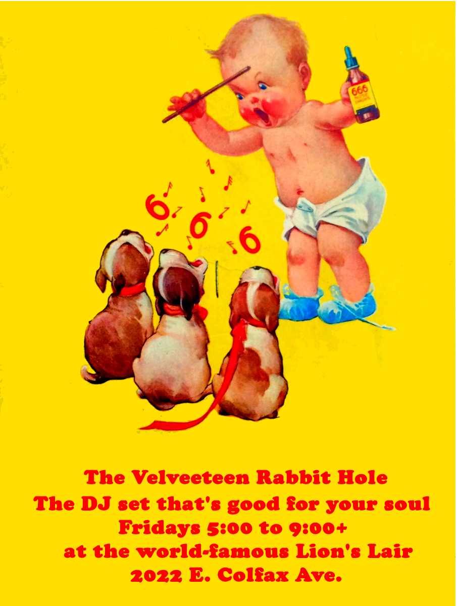 The Velveeteen Rabbit Hole DJ
