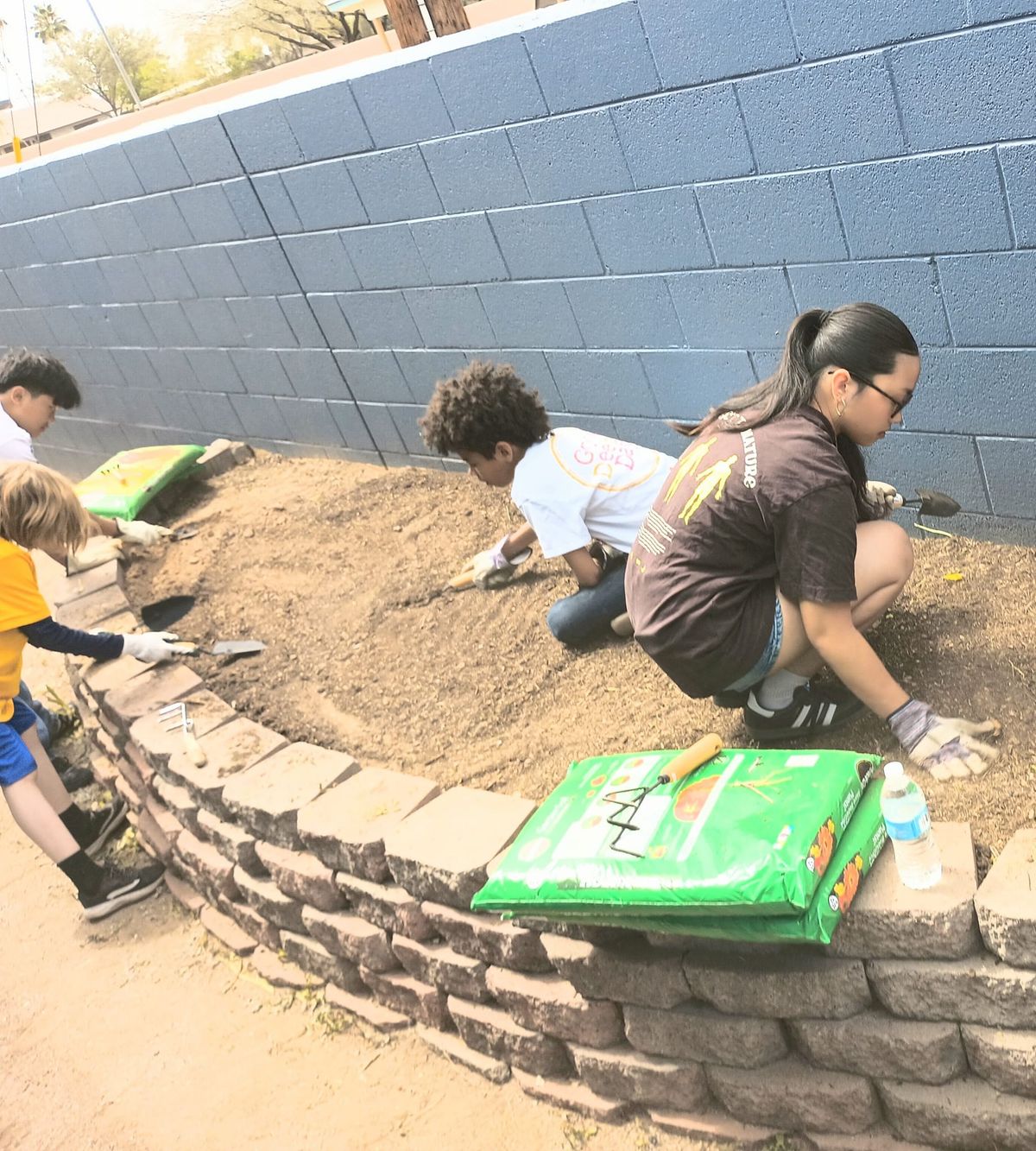 Vegetable Garden Project (PHX)