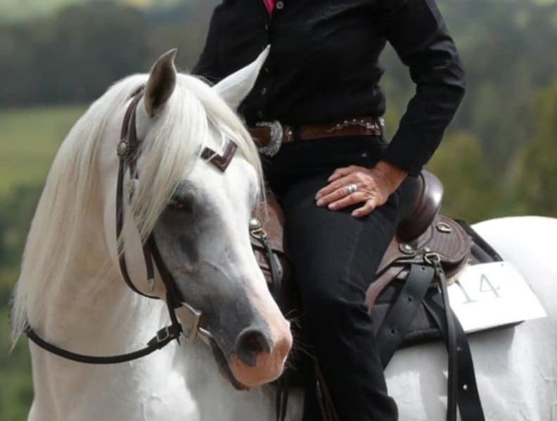 Cowboy Dressage Clinic with Jen Hawkins