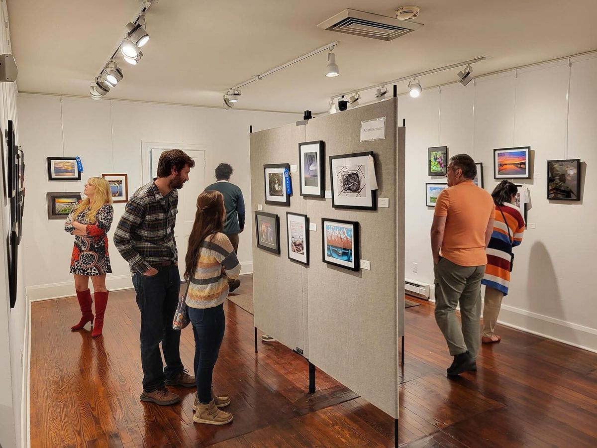 Lewisburg Arts Council Members\u2019 Show