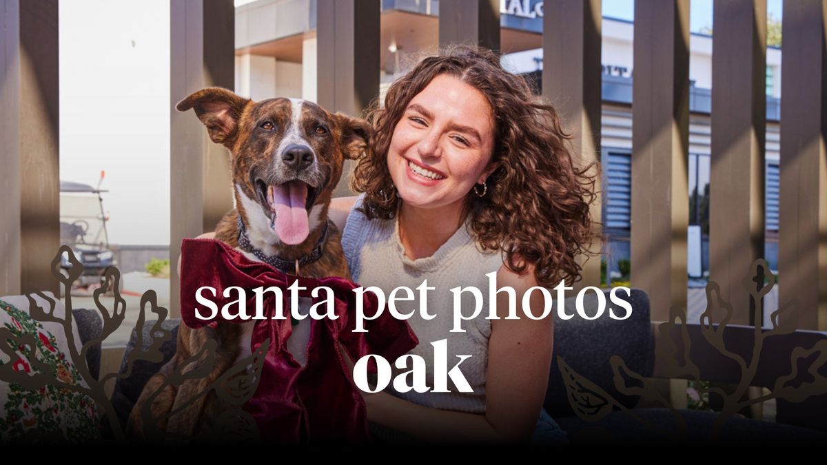 Santa Pet Photos