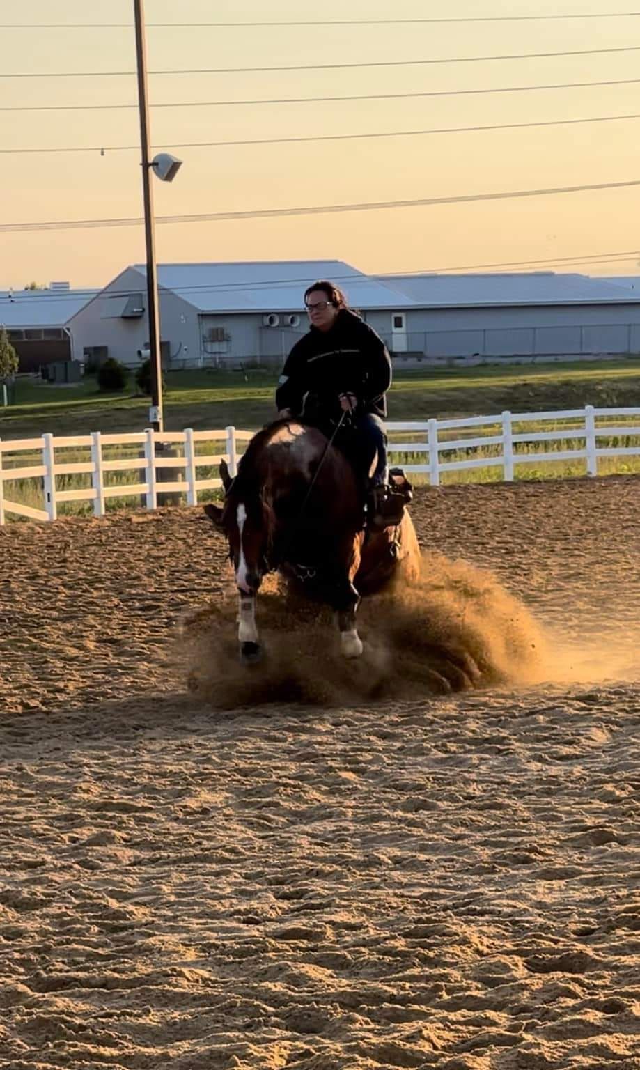 Reining & Horsemanship Clinic with Nettie Baker