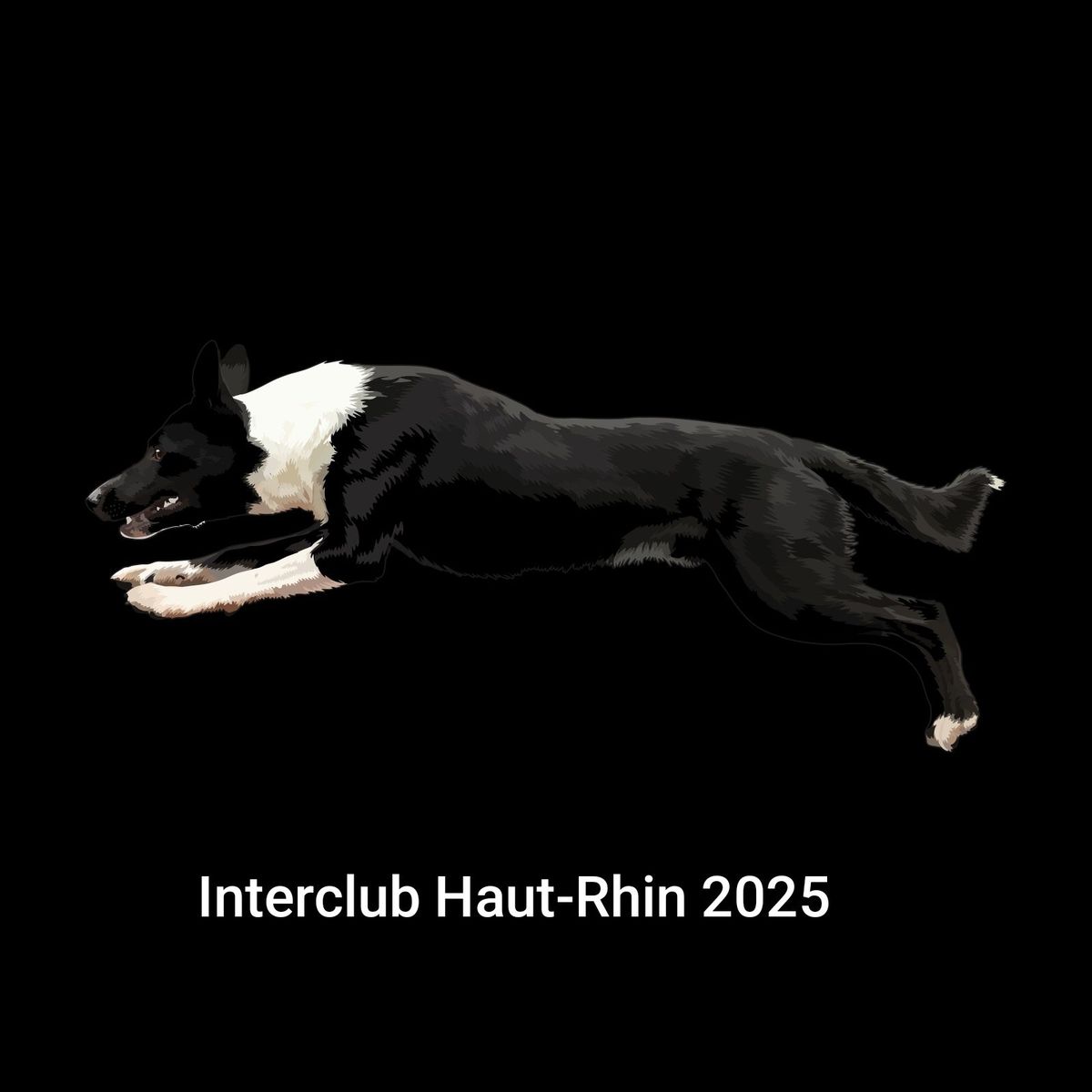 Interclub Haut-Rhin 2025 