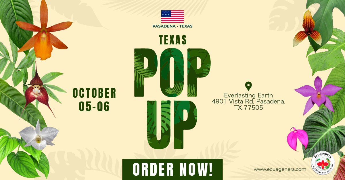 Texas Pop Up