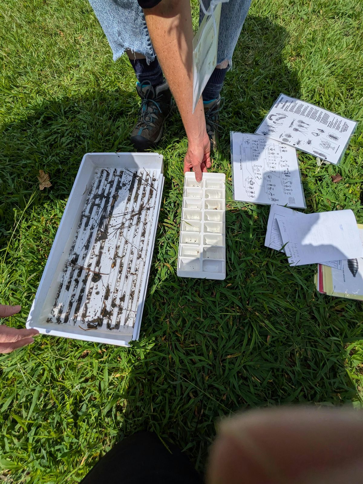 Georgia Adopt-A-Stream Macroinvertebrate Monitoring Workshop