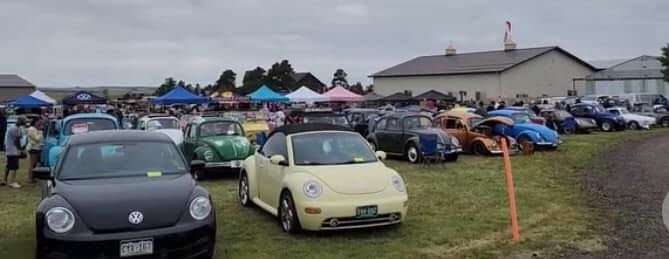 Volkswagens on the Green