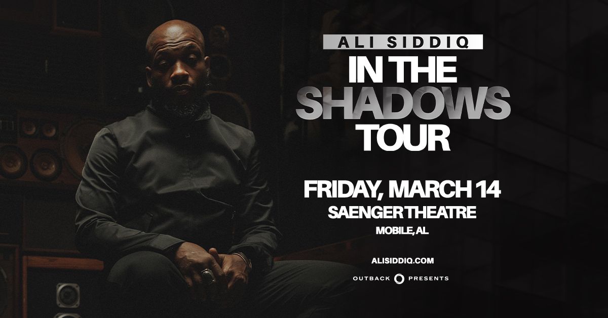 Ali Siddiq : In The Shadows