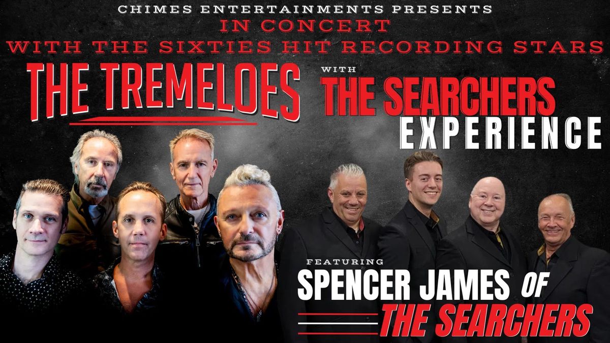 The Searchers Experience