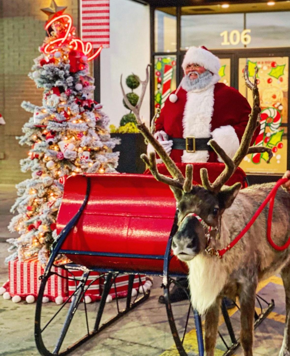 Santa and Reindeer Meet & Greet