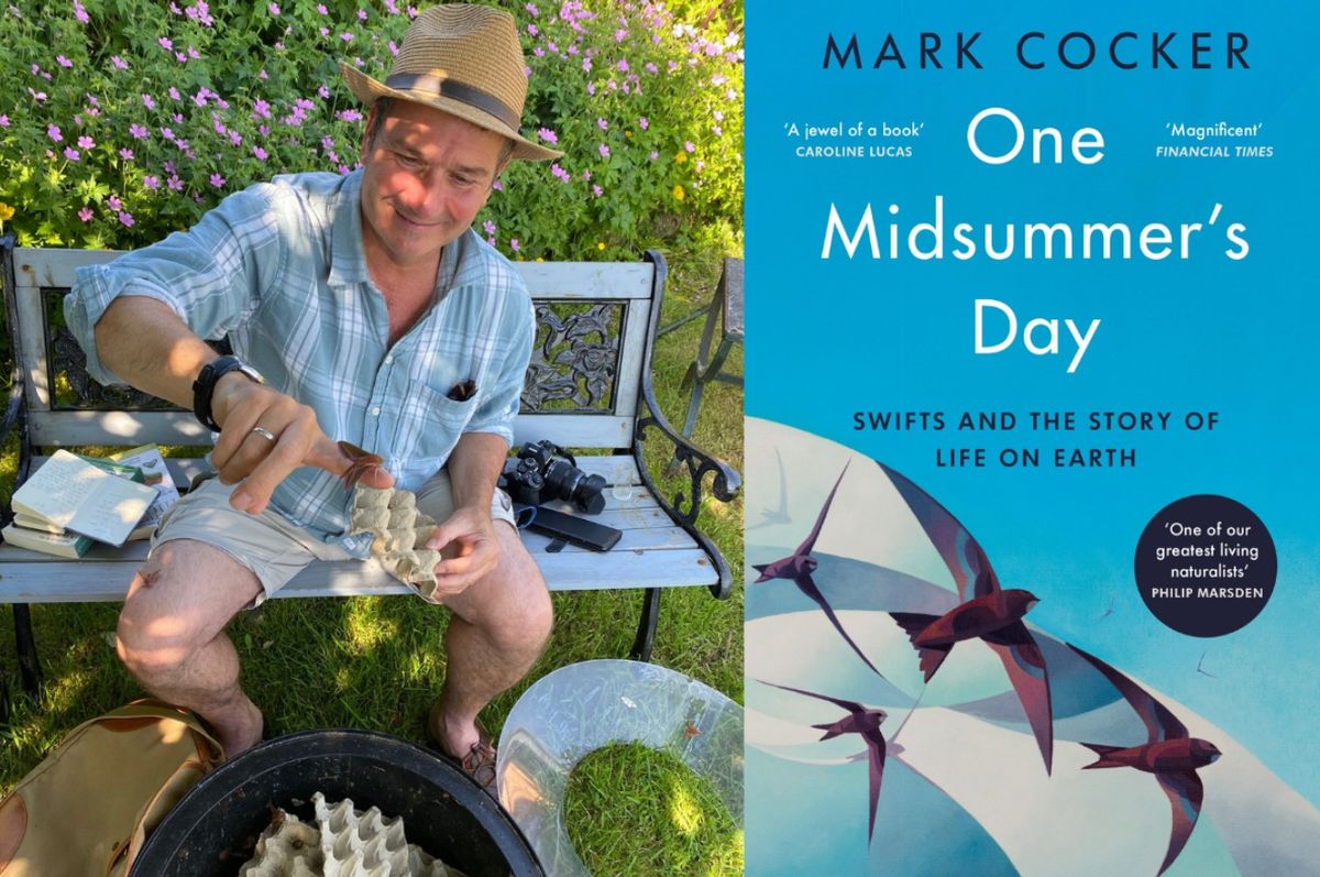 Restless Brilliance: One Midsummer\u2019s Day with Mark Cocker