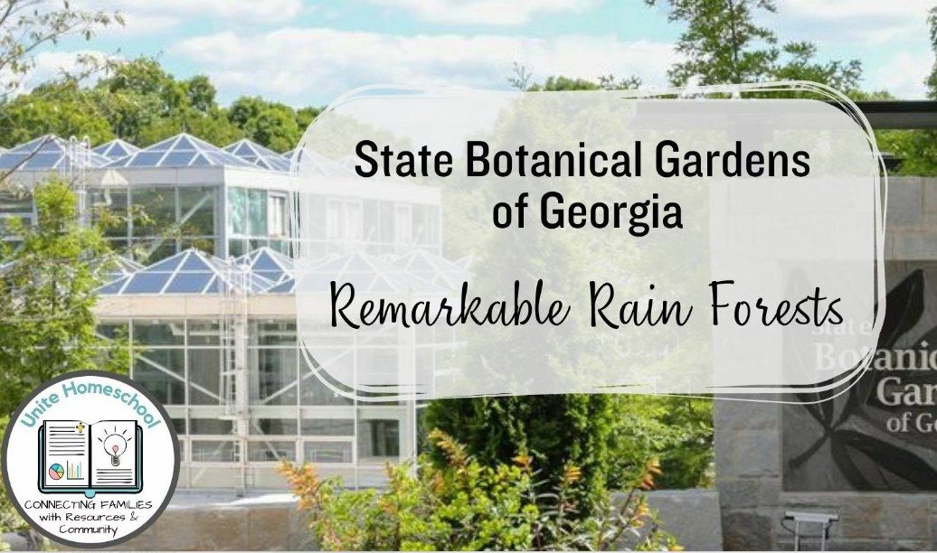 Remarkable Rainforests | State Botanical Garden of Georgia 