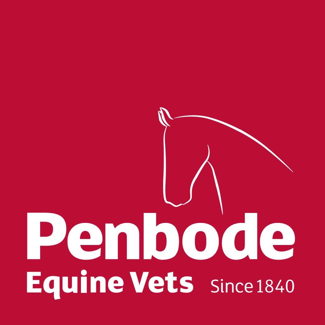 UNAFFILIATED\/CLUB\/OPEN, BS SENIOR & BS JUNIOR SHOW JUMPING Sponsored by Penbode Equine Vets