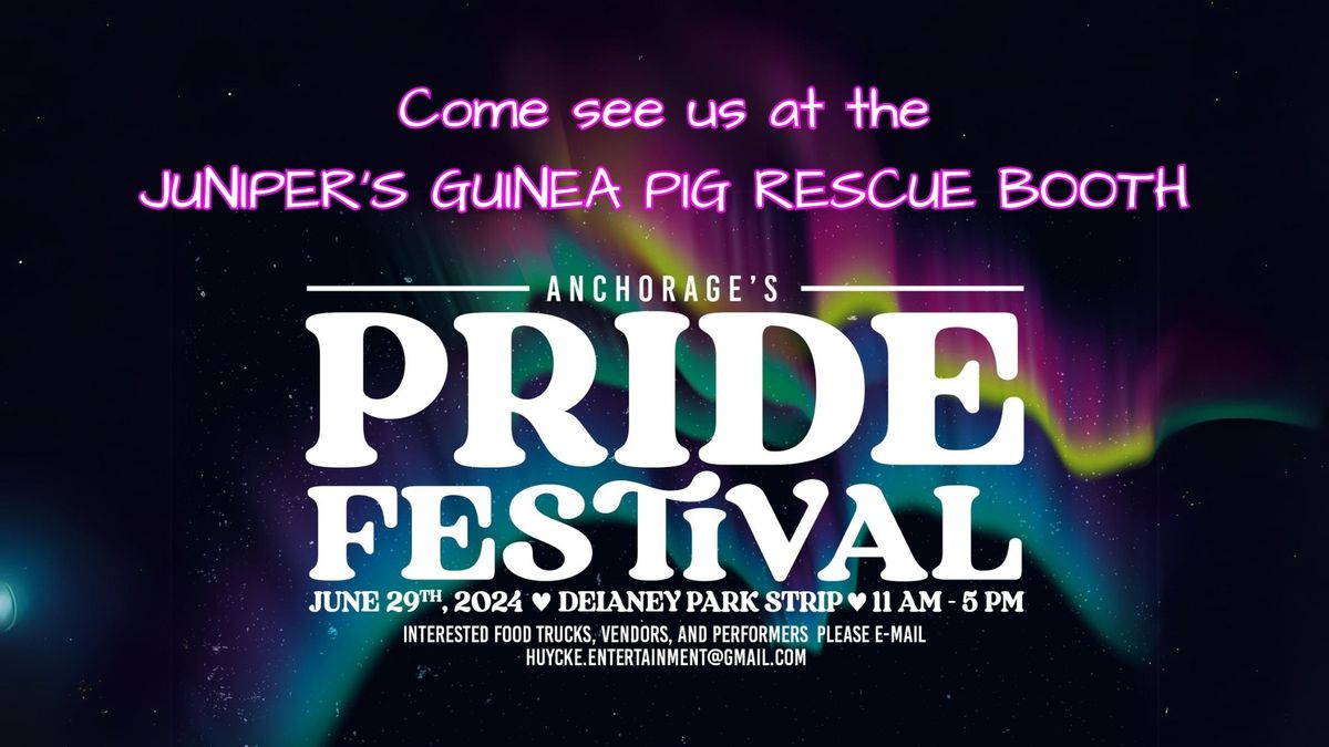 Juniper's Booth @ the Anchorage's Pride Festival 2024