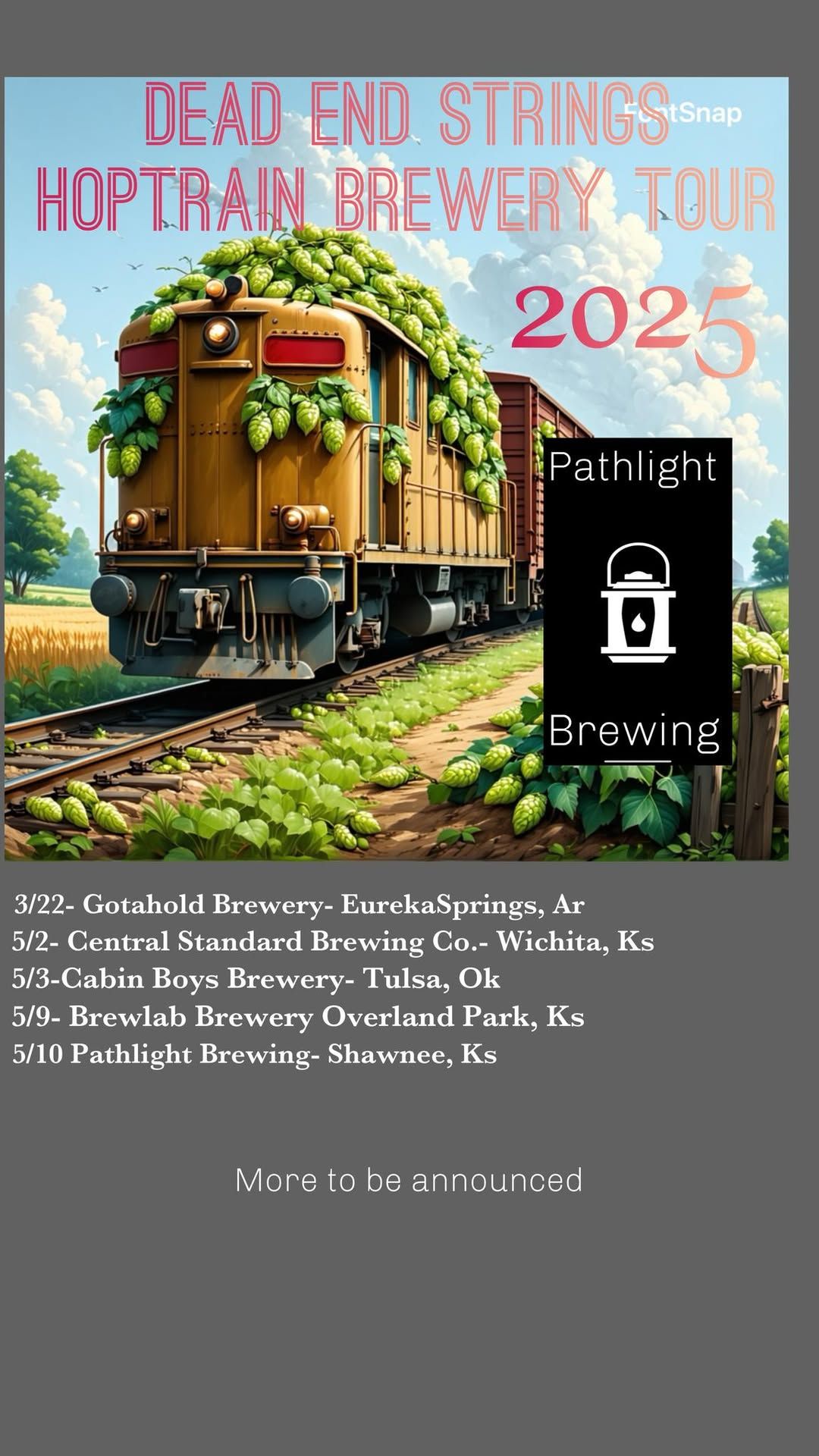 Dead End Strings @ Pathlight Brewing Shawnee, Ks