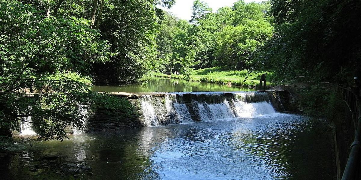 Snuff Mills River Walk - Guided evening stroll