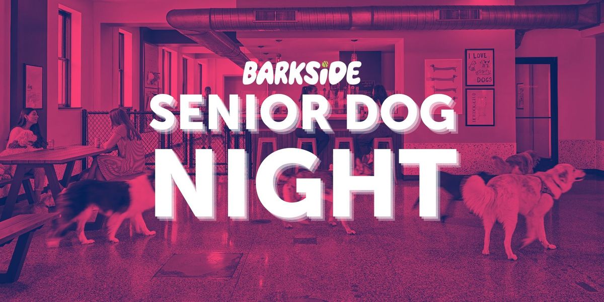 Senior Dog Night