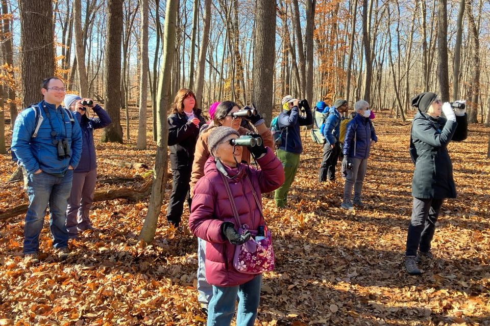 Beginning Birders Series