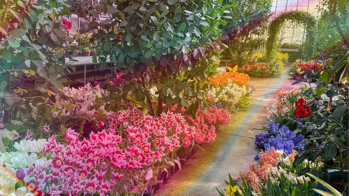 Spring Flower Show