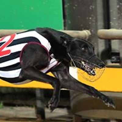 Ballarat Greyhounds