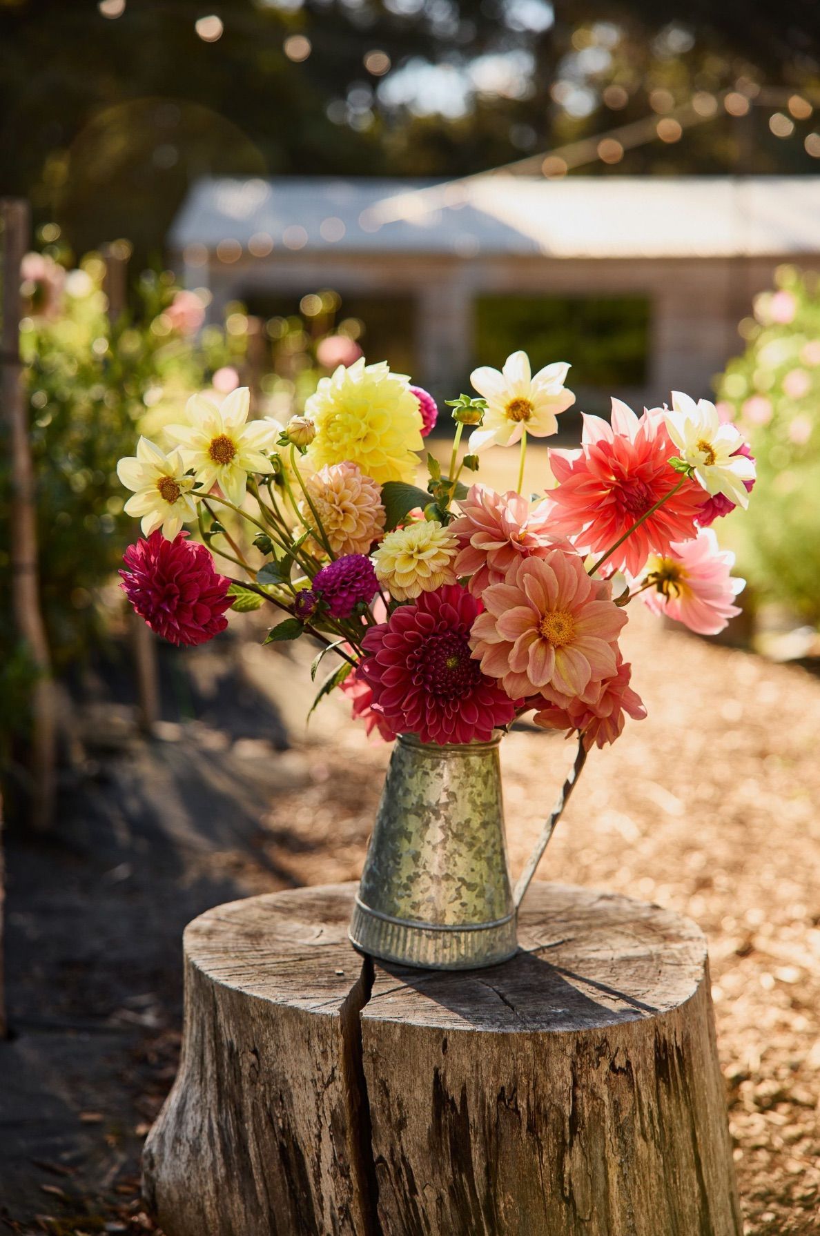 Twilight Flower Picking