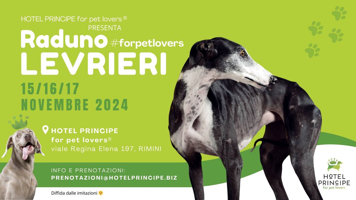 Raduno LEVRIERI #forpetlovers