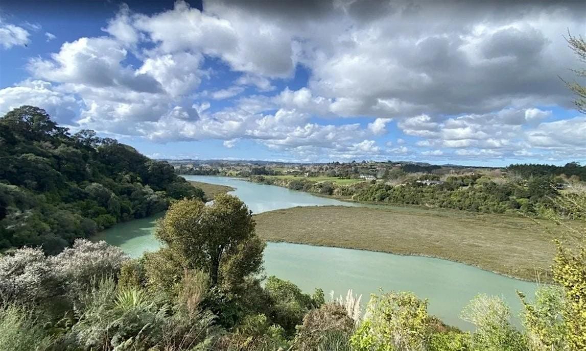 Archies Lookout Track: She Walks NZ