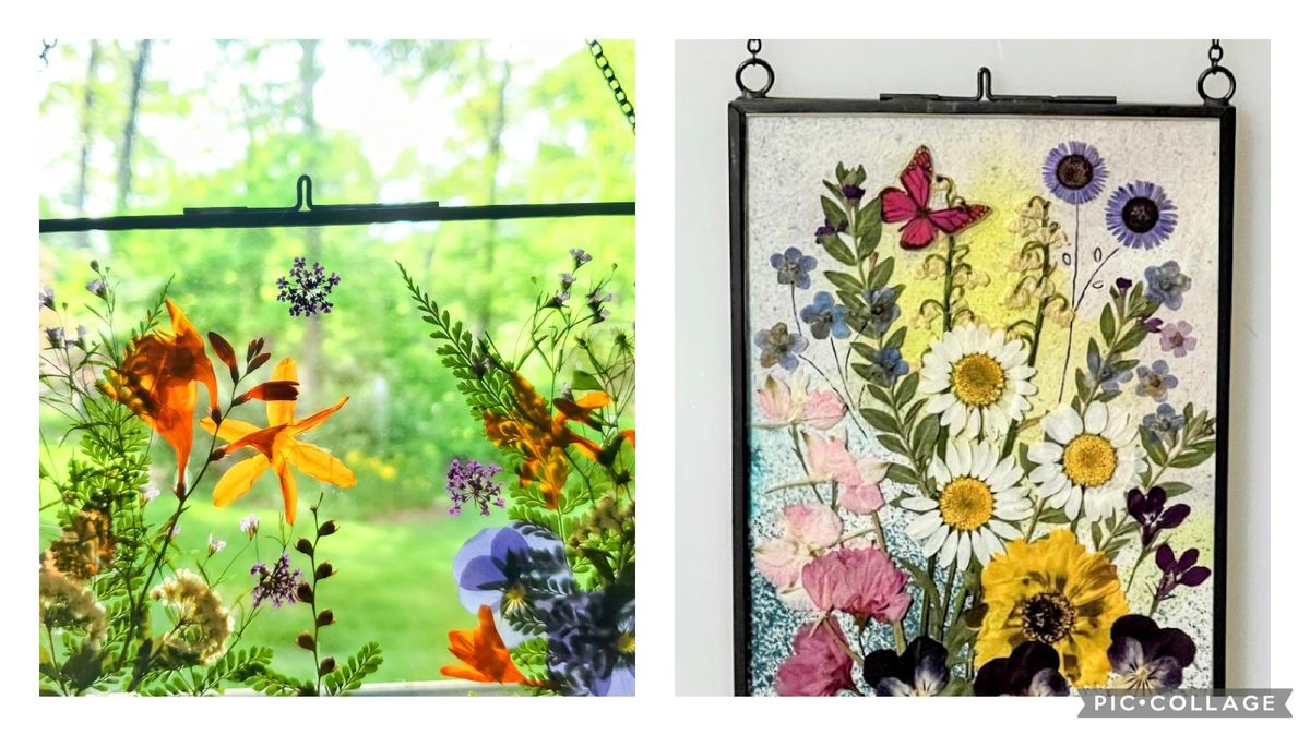 Pressed Flower in a Glass Frame & a Milkshake