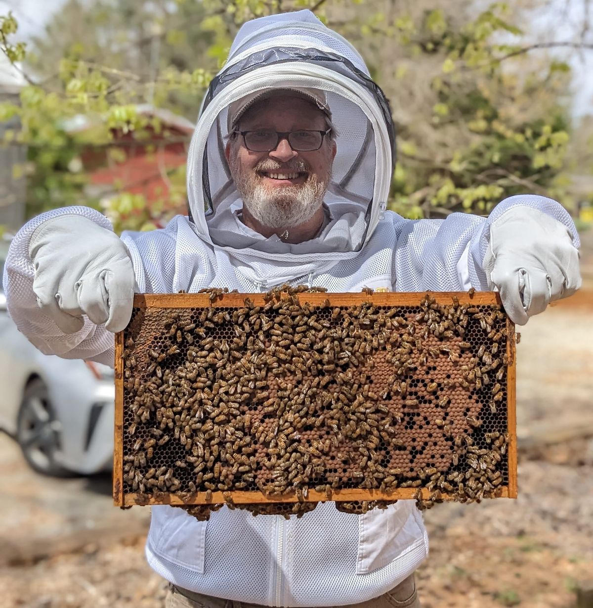 Athens Beginners Beekeeping Seminar