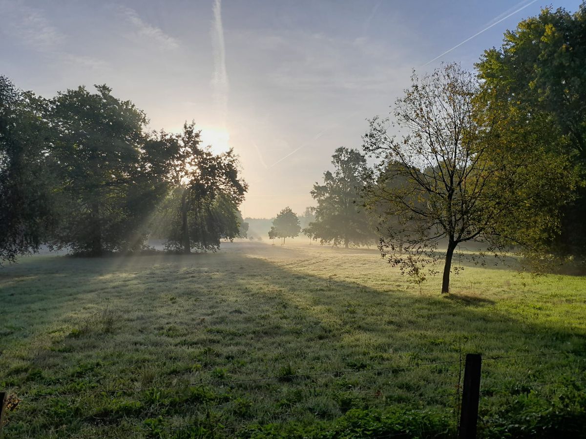 avondwandeling te paard door de Damse en Brugse polders