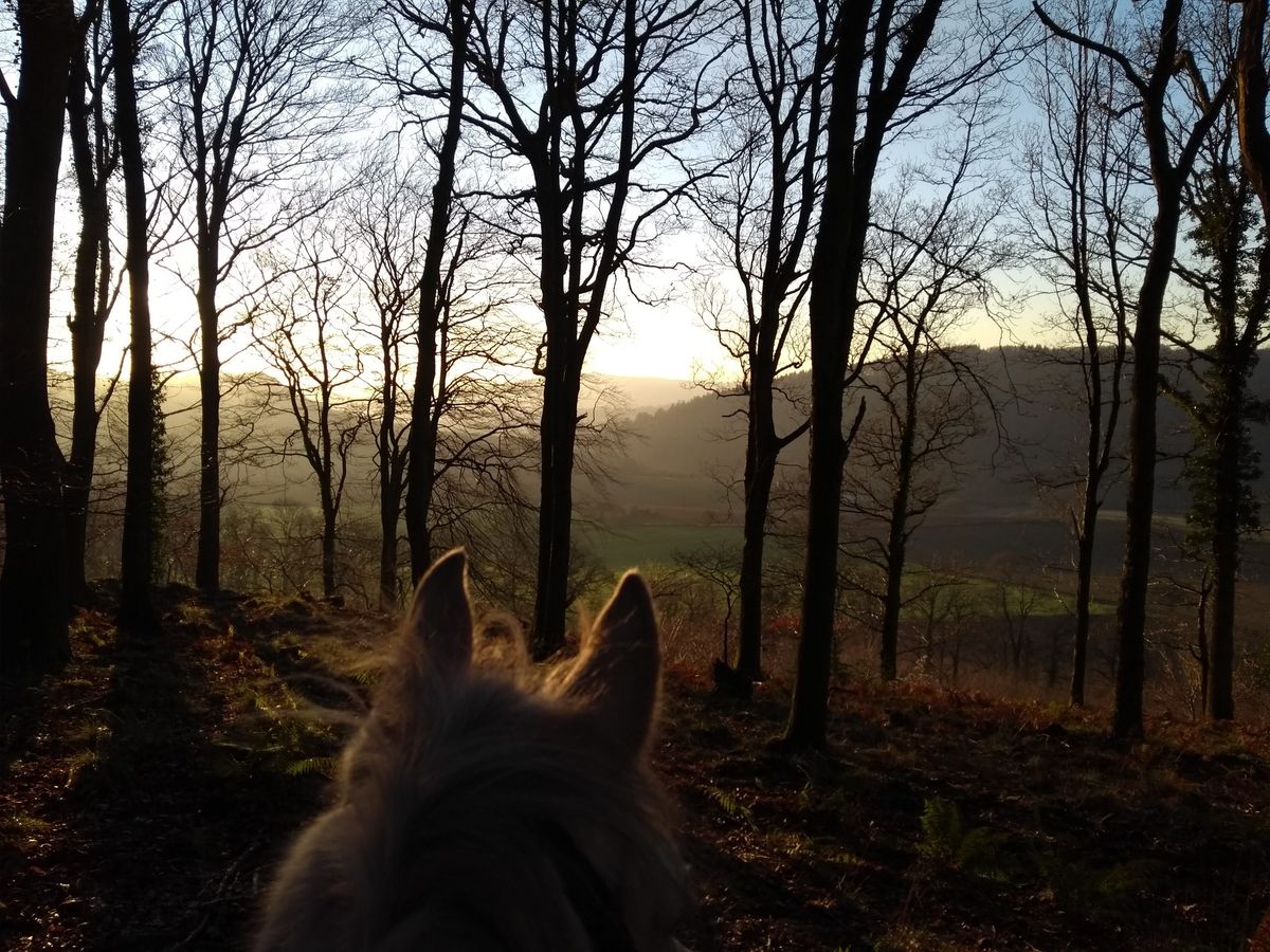 Forest of Dean Christmas Cracker Ride