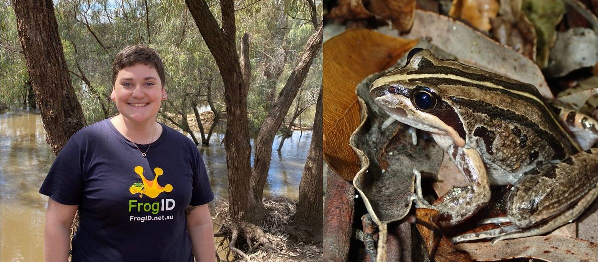 FrogID: People-Powered Frog Conservation at Planetary Health Day