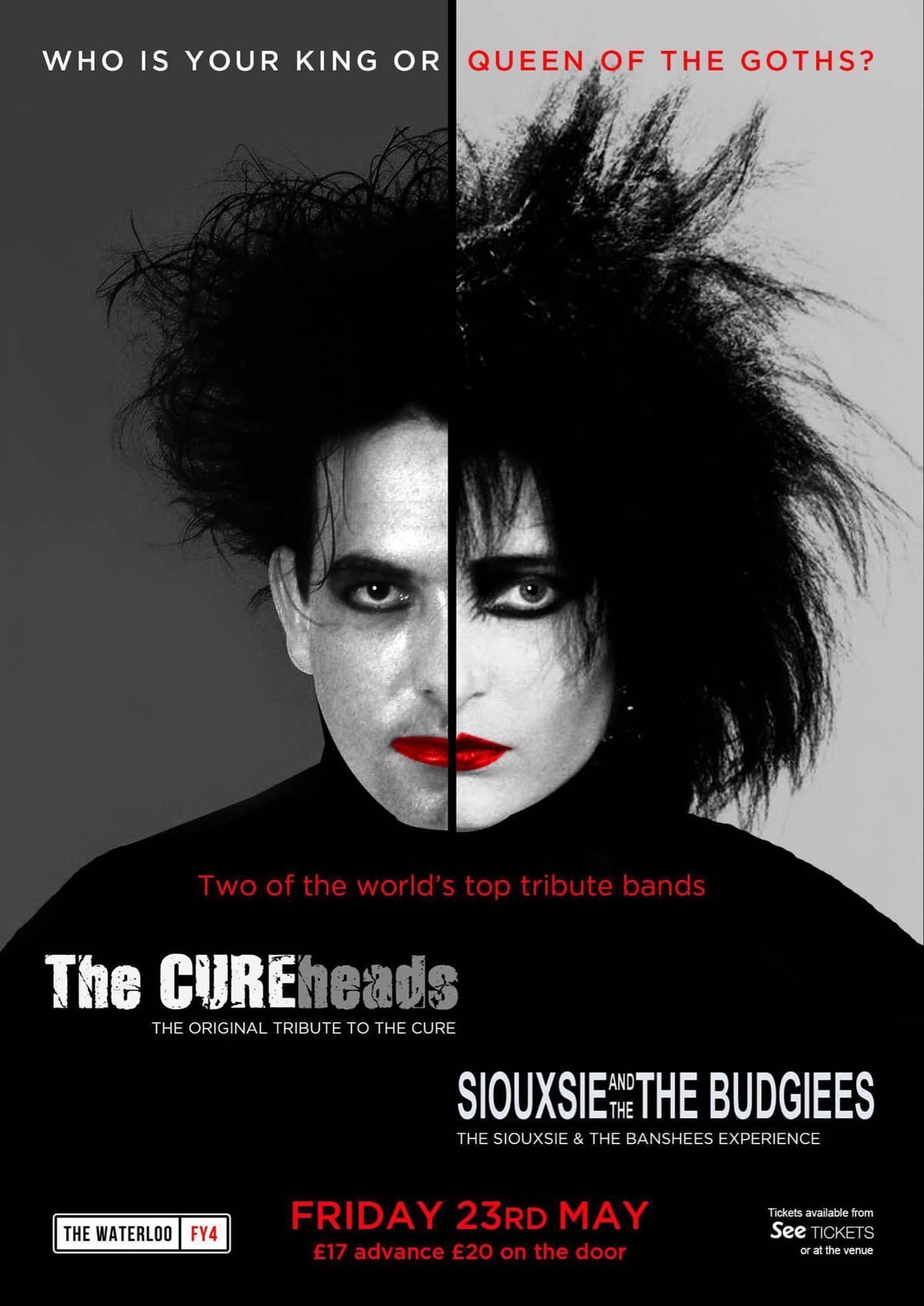 The Cureheads and Siouxsie and the Budgiees