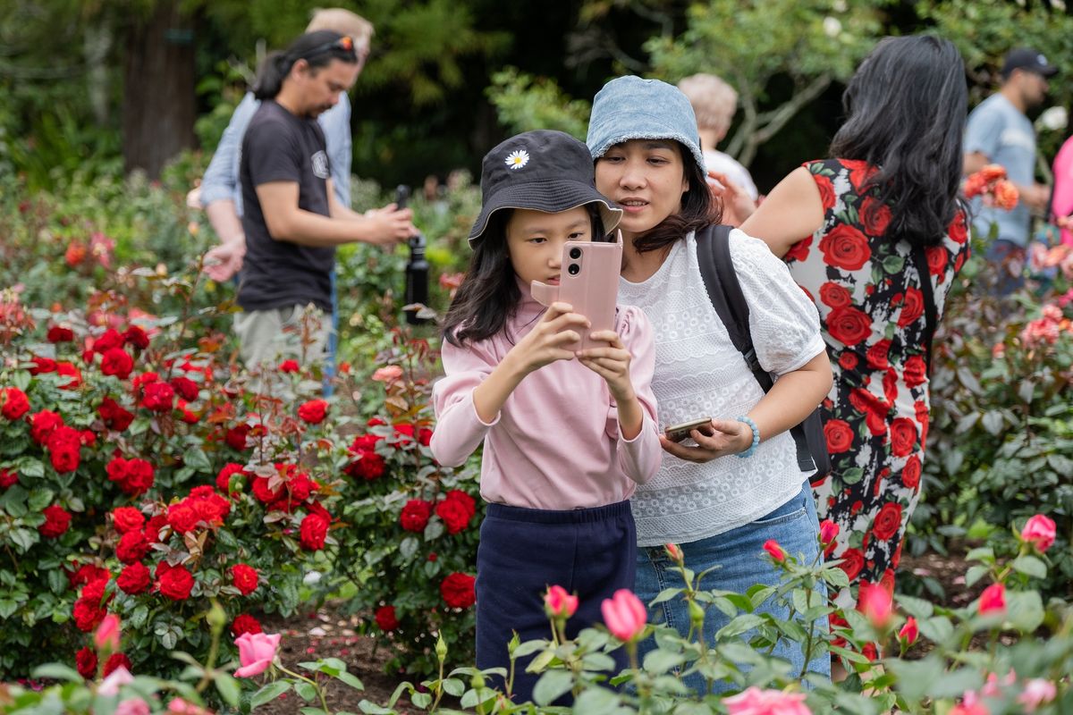 Parnell Festival of Roses 2024