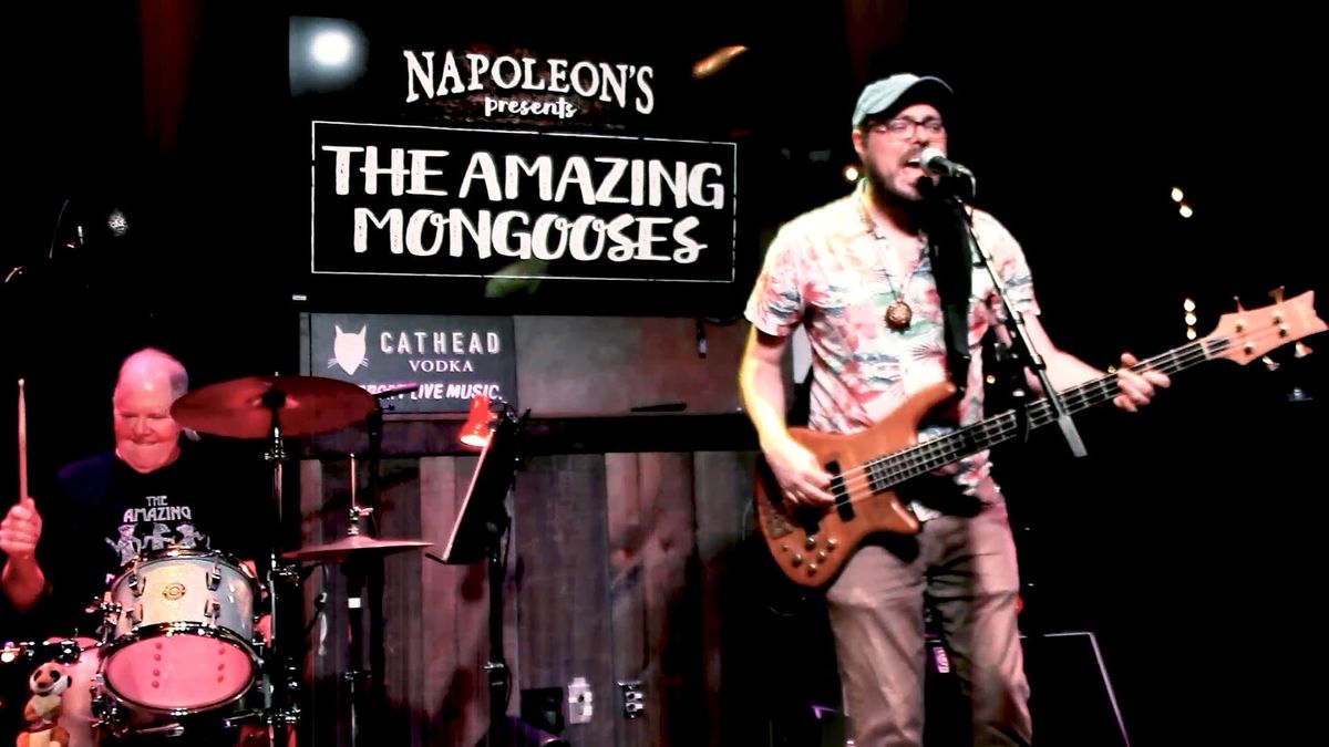 The Amazing Mongooses at Napoleon\u2019s, 10\/5