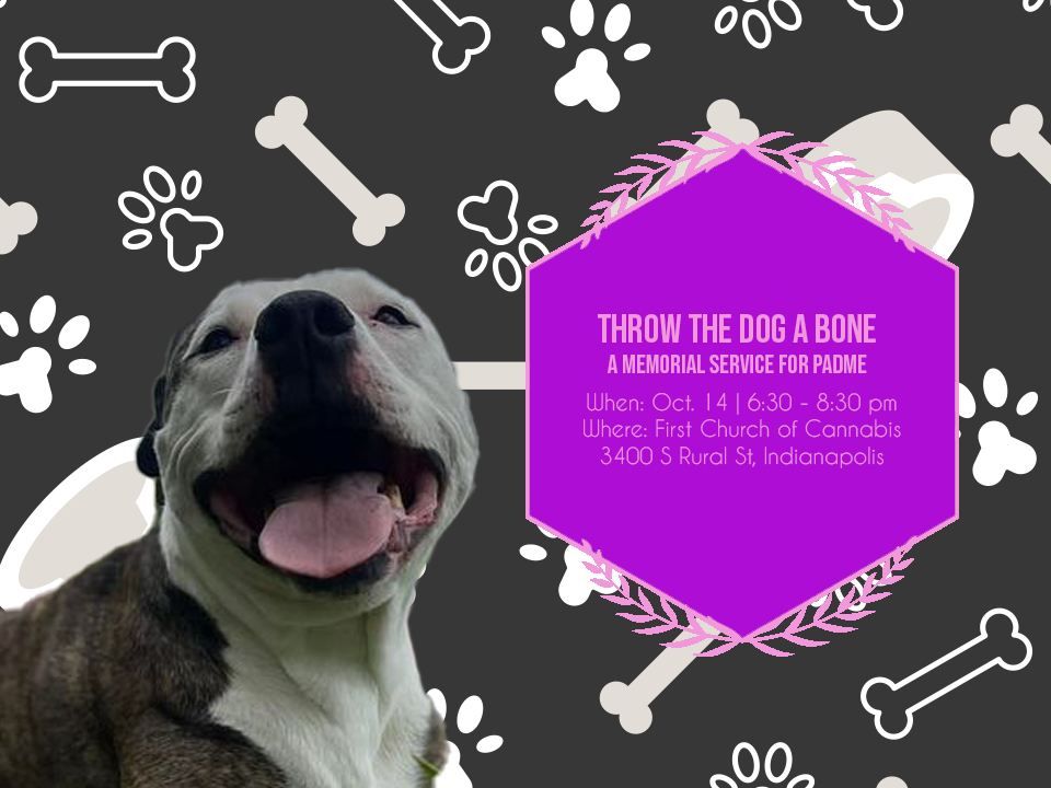 Throw the Dog a Bone Memorial for Padme, The First Church of Cannabis