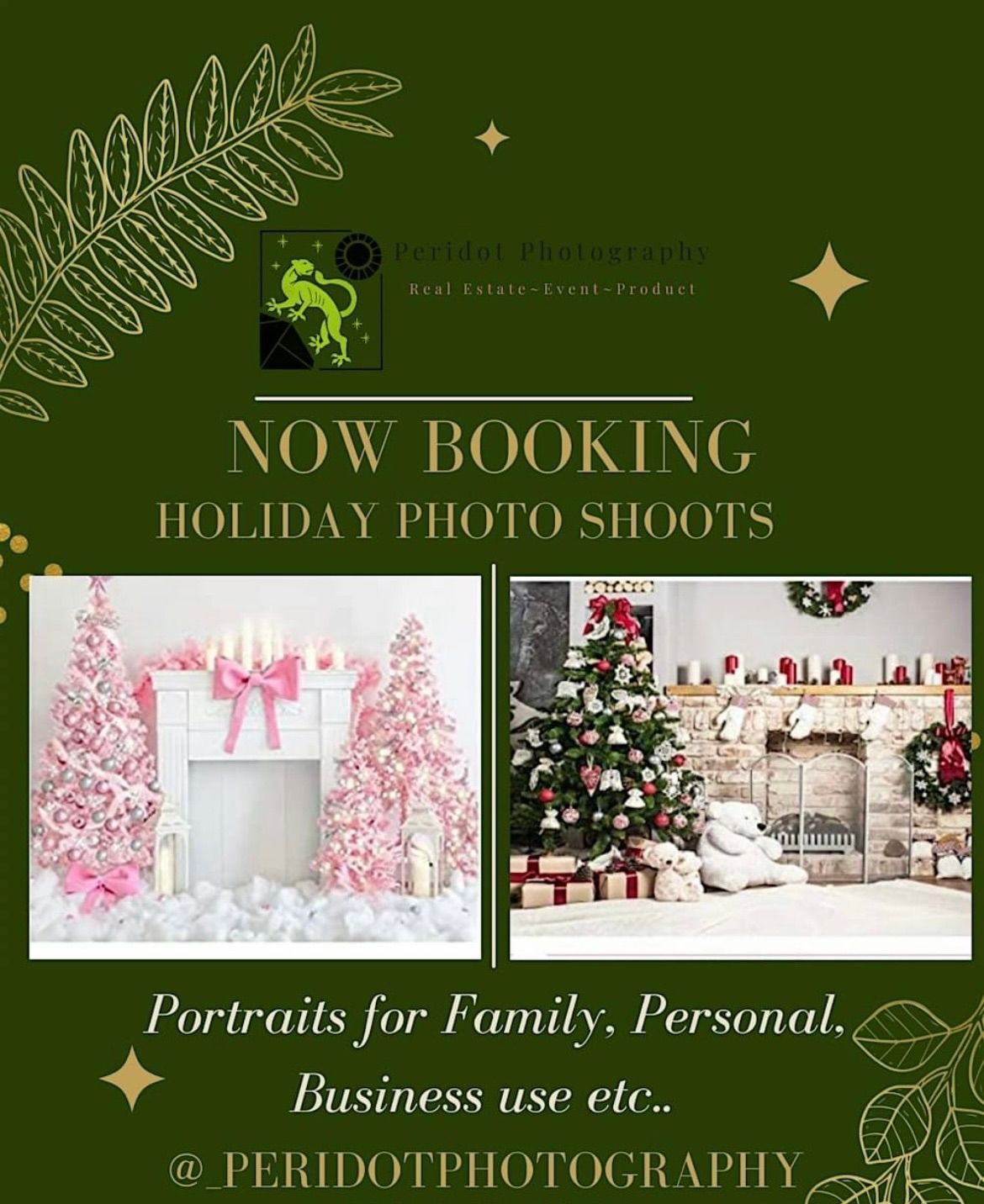 Holiday  Portraits