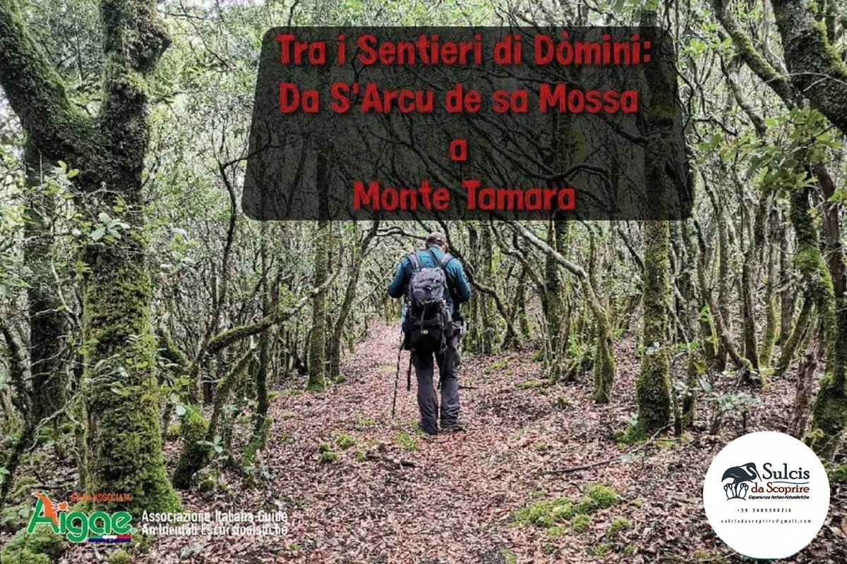 Tra i Sentieri di D\u00f2mini: Da S'Arcu de sa mossa a Monte Tamara