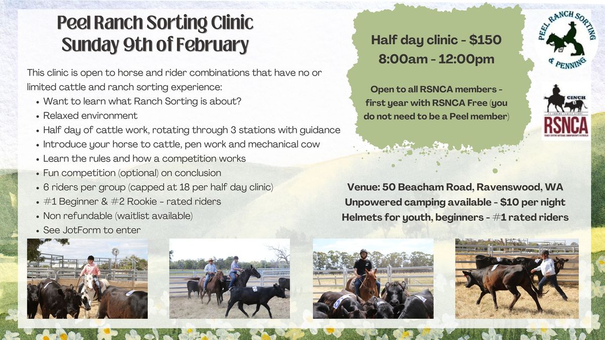 Peel Ranch Sorting - beginners clinic