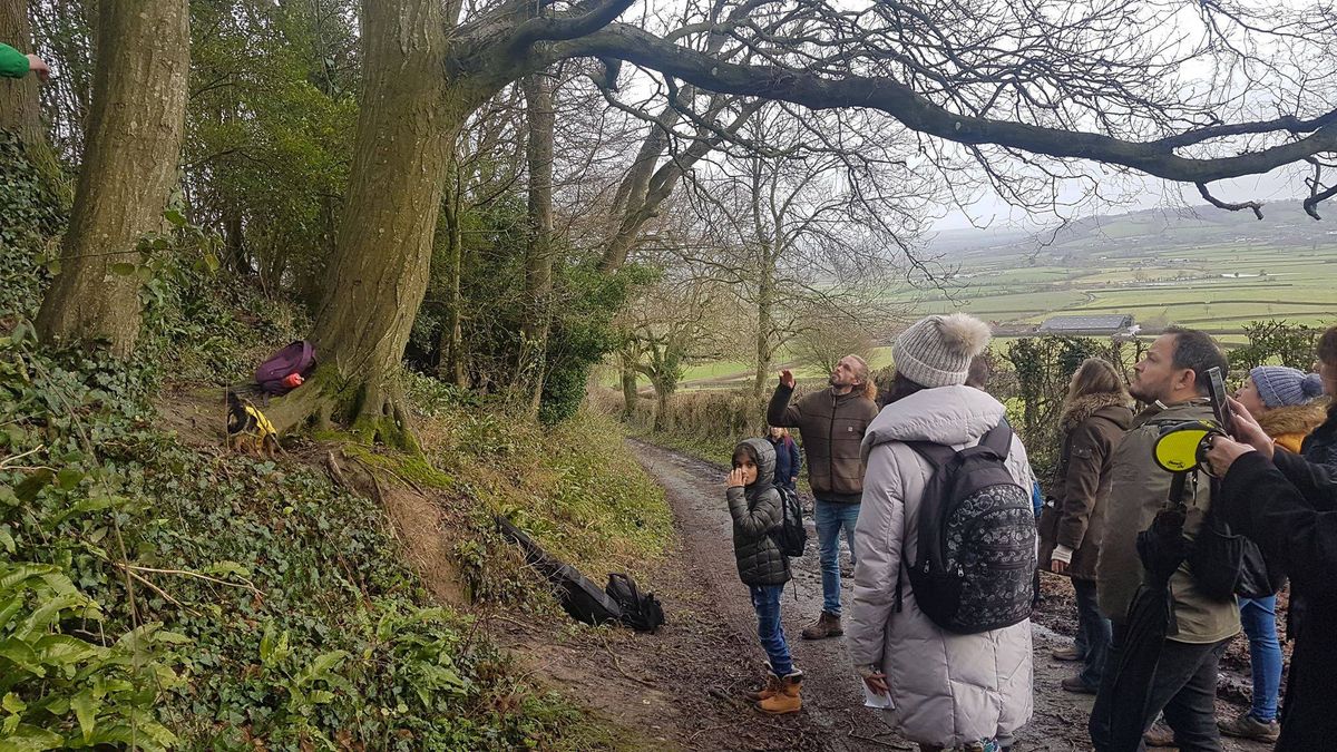 Samhain Tree Walk 