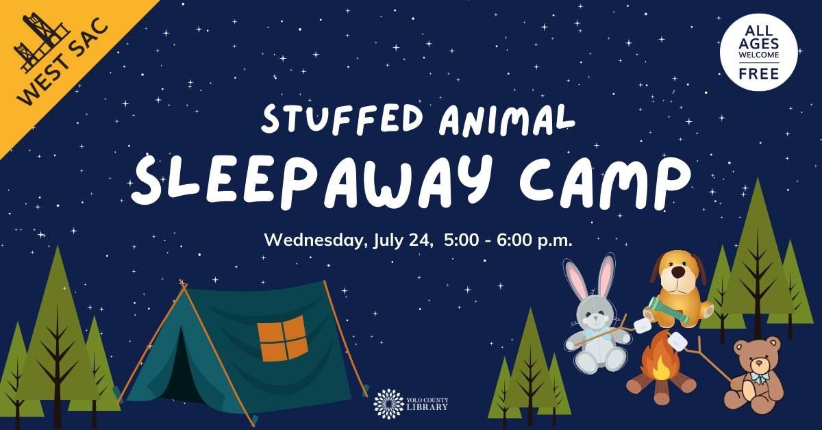 Stuffed Animal Sleepaway Camp