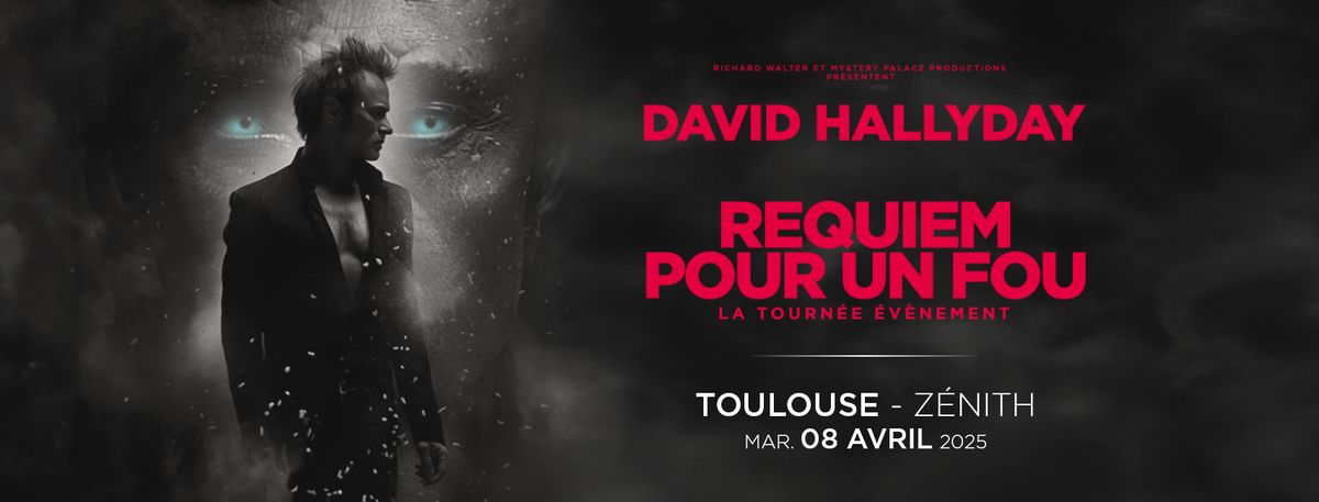 David Hallyday, Requiem pour un fou | Z\u00e9nith Toulouse M\u00e9tropole