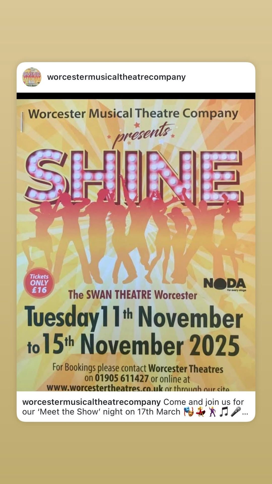 WMTC \u2018Shine\u2019 Meet the Show Night 