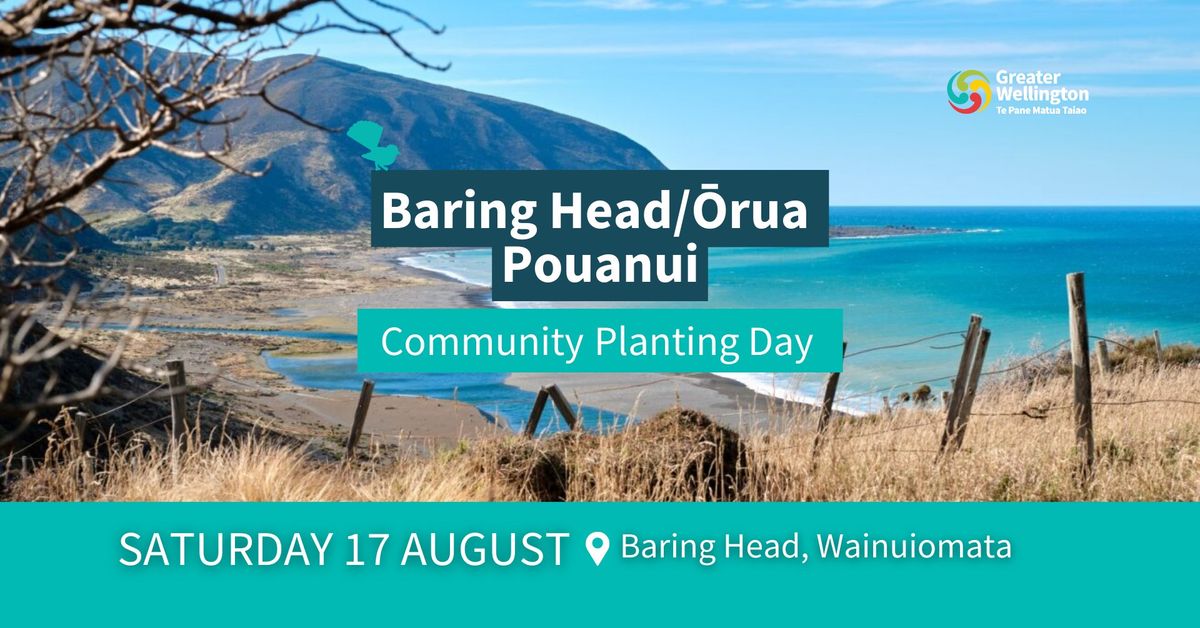 Baring Head\/\u014crua Pouanui Community Planting Day