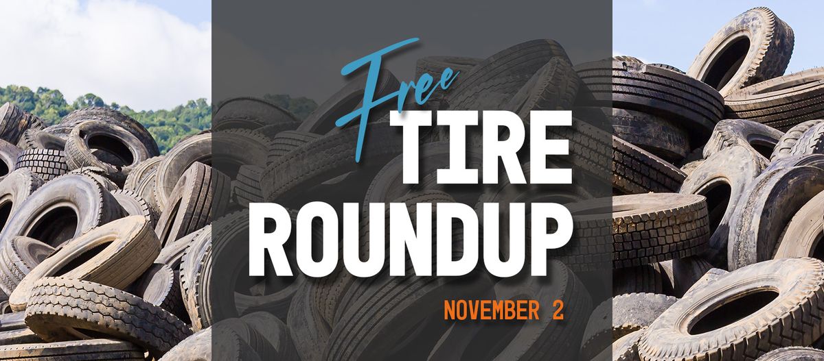 2024 Tire Roundup