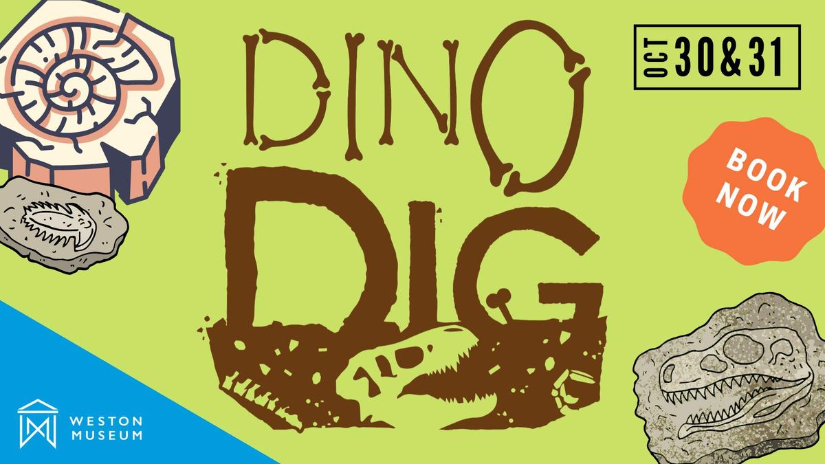 Dino Dig Sessions