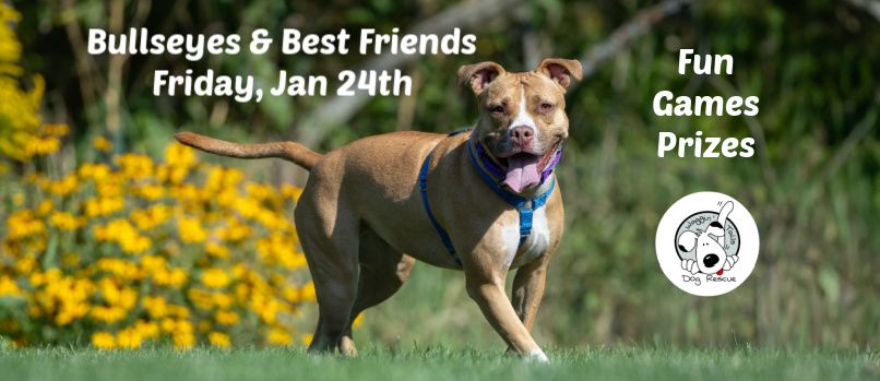 Bullseyes & Best Friends Birthday Fundraiser