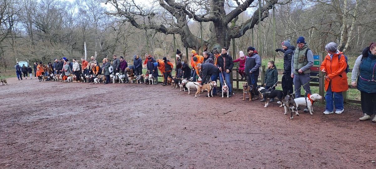 Sherwood Forest Rainbow Memorial Walk